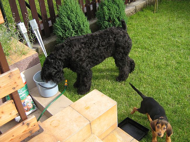 ugier&max1.jpg
