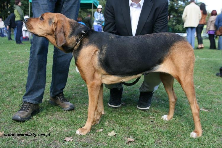 Malwa