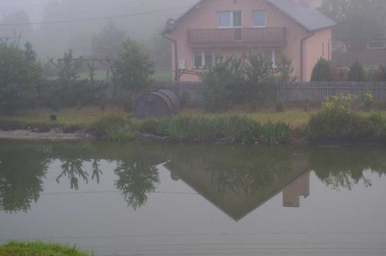 jeszcze nie wstały na siku75.jpg