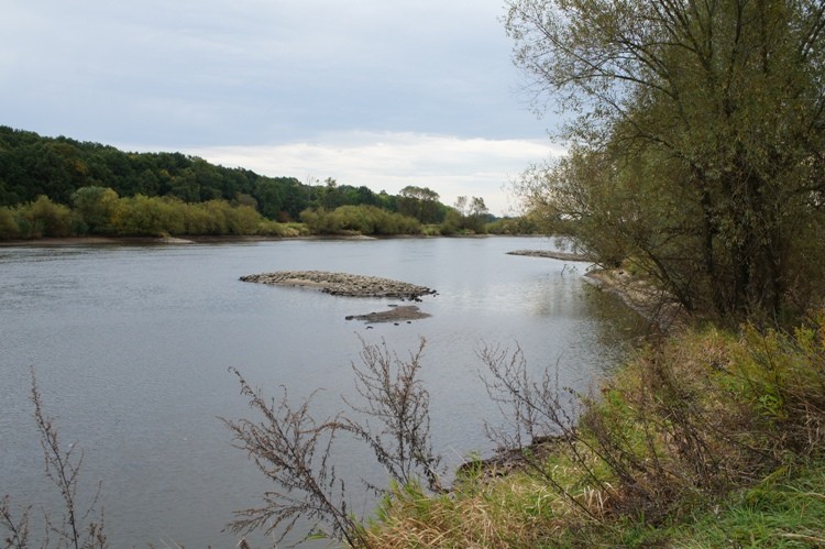 DSC01821.JPG