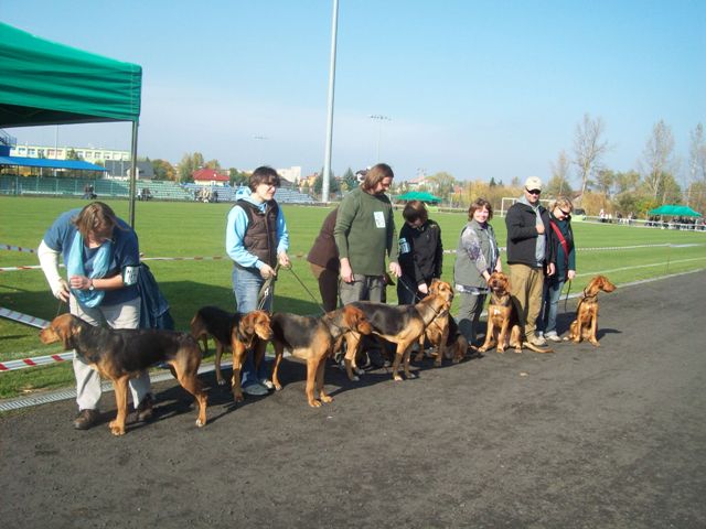 100_5048.JPG