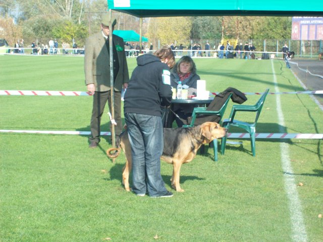 100_5035.JPG