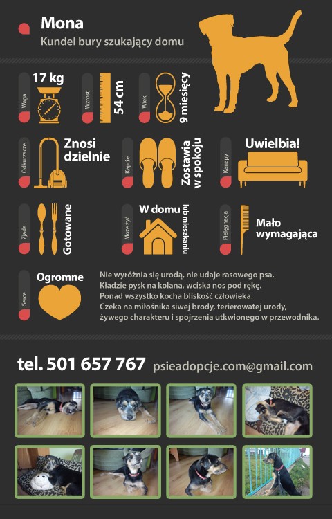 mona-infografika-mala.jpg