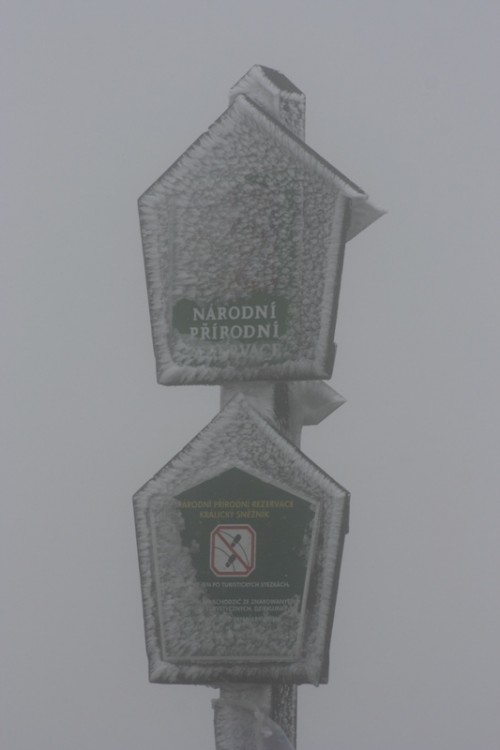 Padało, wiało i mgliście było, widoków ładnych na górze niestety nie było.