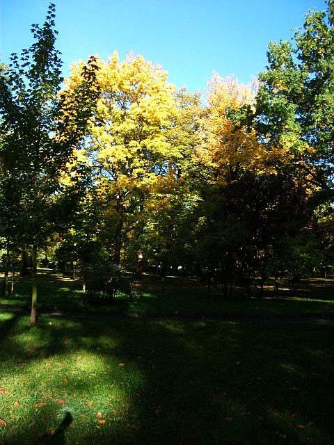 DSCF7174.JPG