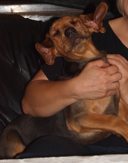 GREMLIN.jpg