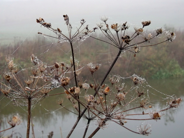 DSCF9897-002.JPG