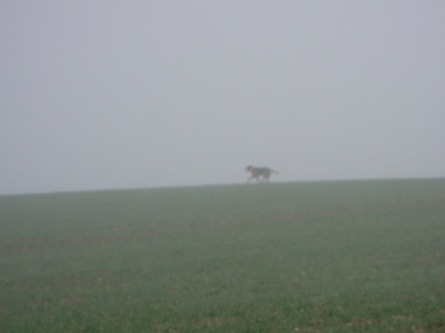 DSCF9942-002.JPG