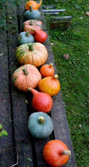 PA020007-001.JPG
