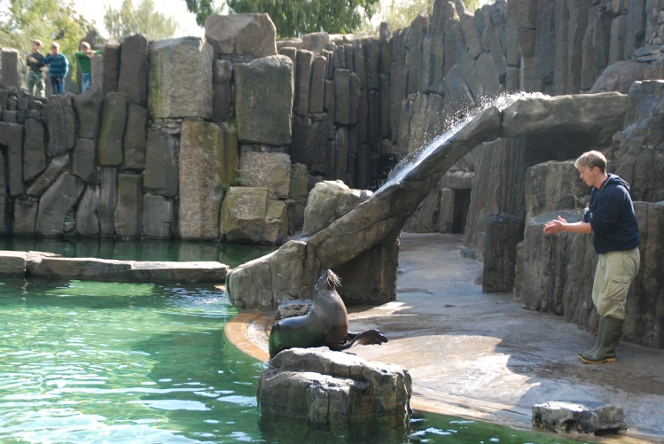 DSC_0397.JPG