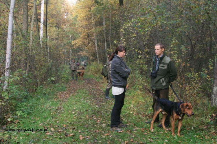 Ponownie tubylcy zabawiają gości.