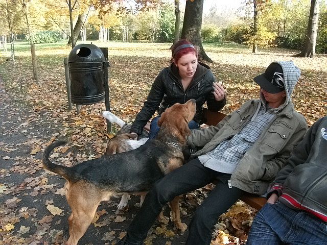 DSCF2275.JPG