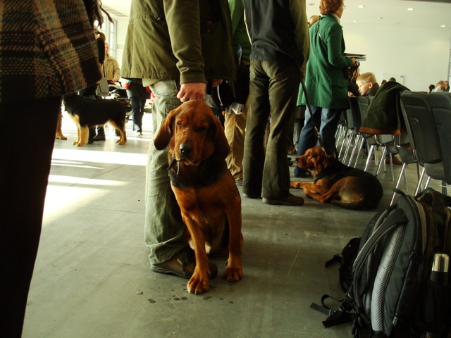 small DSC04060.JPG