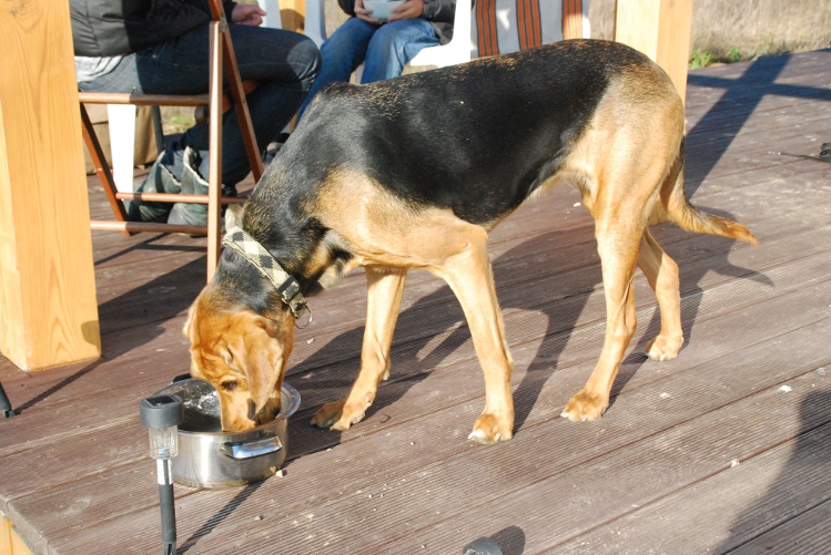 DSC_0238.JPG