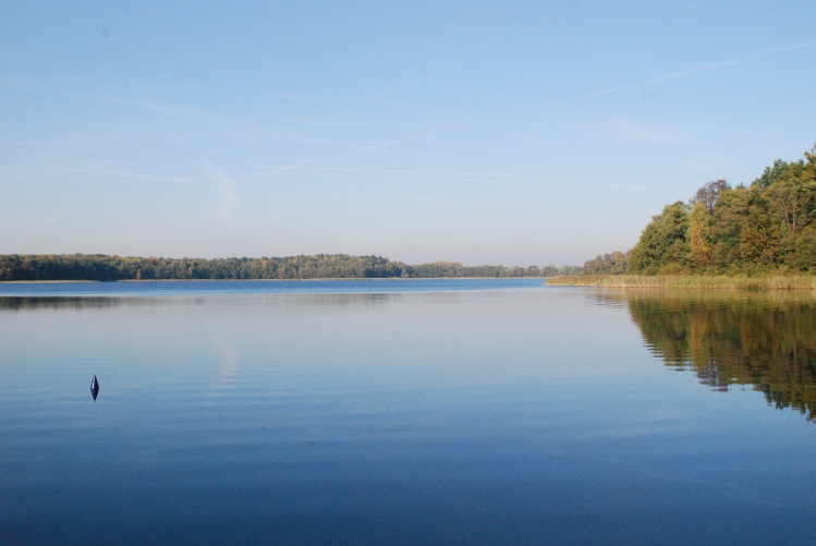 DSC_0248.JPG