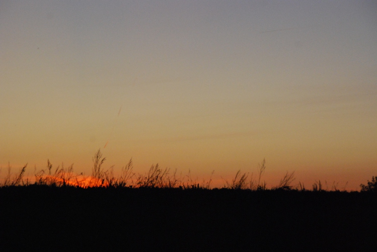 DSC_0305.JPG