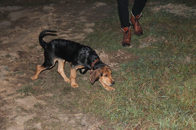 Azja) 035.jpg