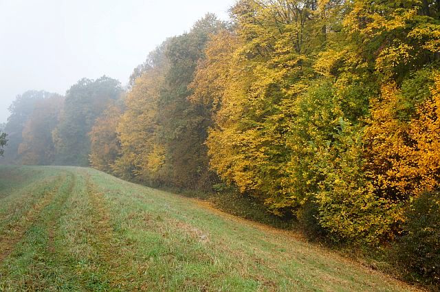 Mgła nad wałami