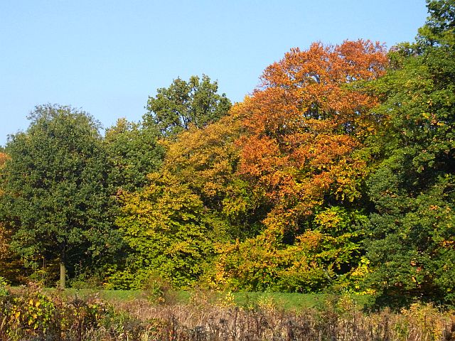RIMG0689.JPG