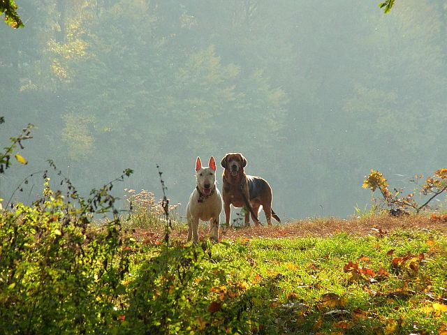To co, odbijamy w bok.