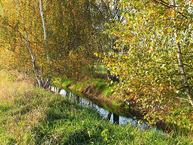 RIMG0749.JPG