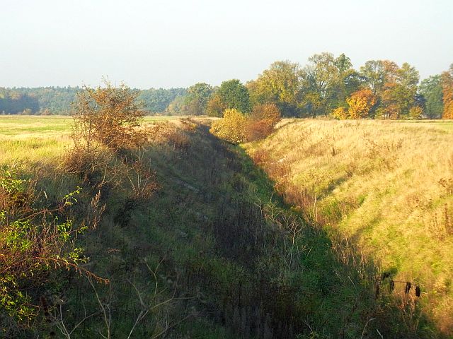 RIMG0808.JPG