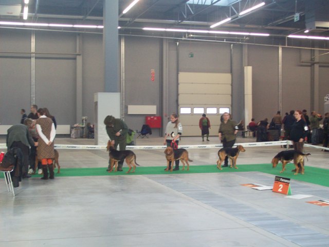 100_5215.JPG