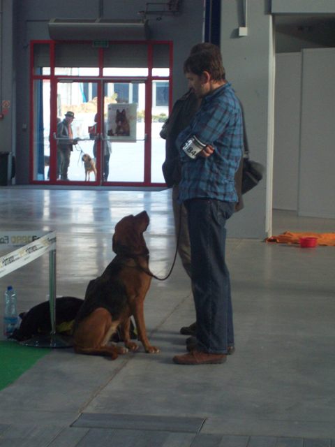 100_5216.JPG