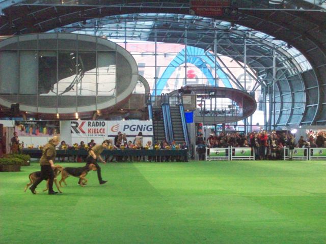 100_5236.JPG
