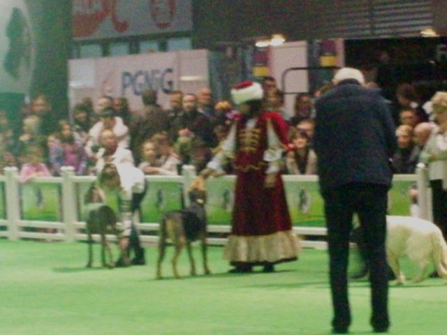 100_5266.JPG