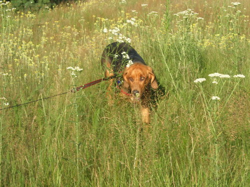 spacer3.jpg