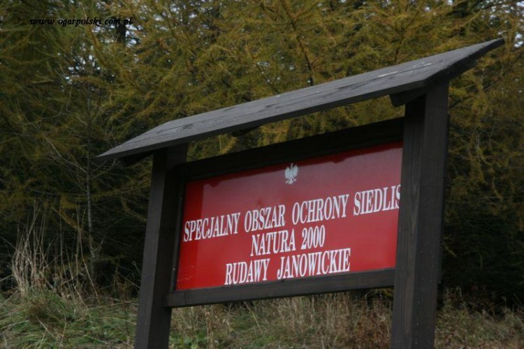 Pańci było mało więc w niedzielę jeszcze zaliczyliśmy Rudawy Janowickie.