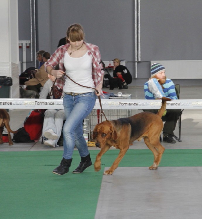 _MG_7105_1.JPG