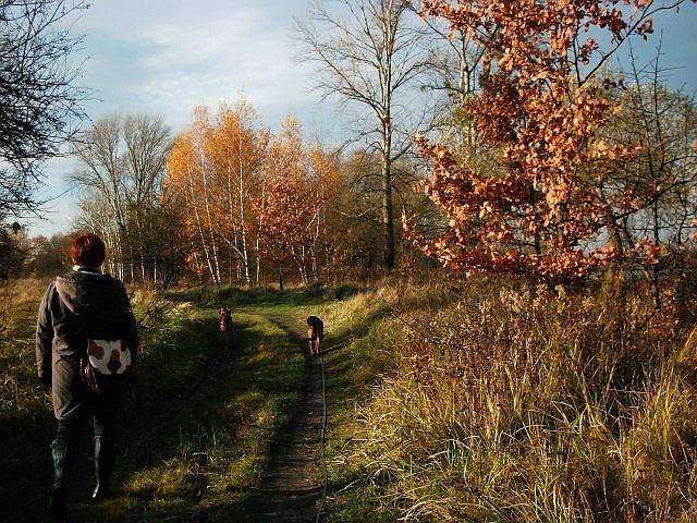 Jesteśmy na półwyspie