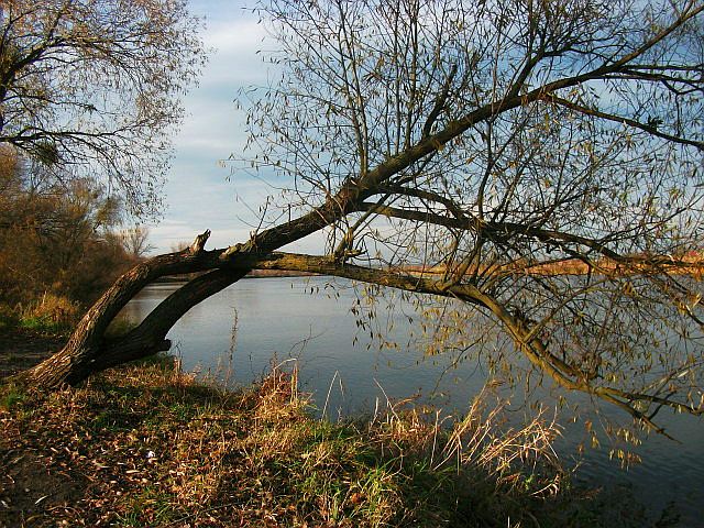 DSCF7547.JPG