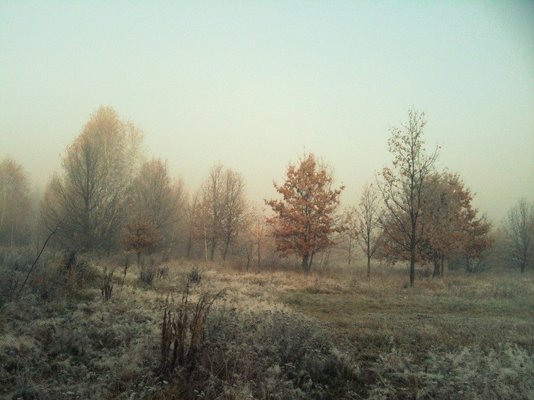 fot3.jpg