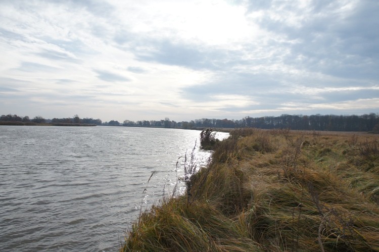 Tędy wędrujemy