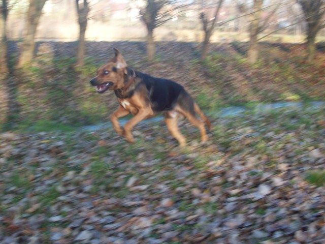 100_5308.JPG