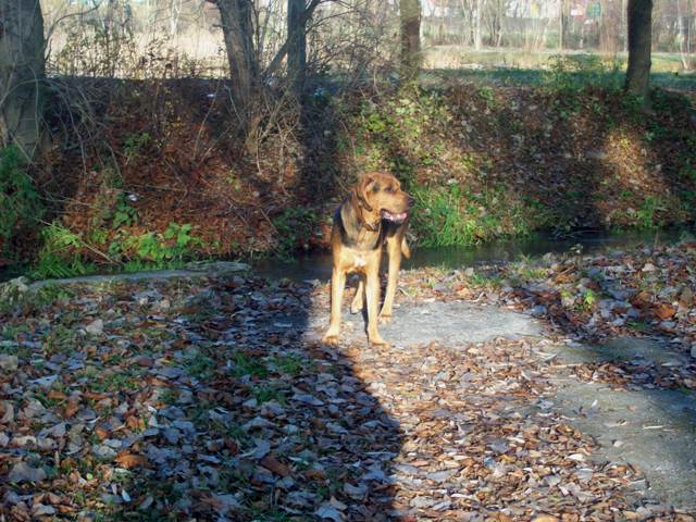 100_5322.JPG