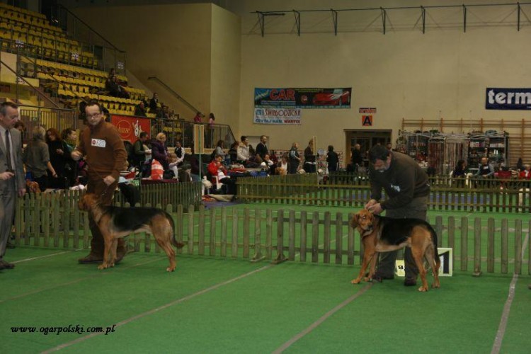 Góry Orlickie 004.jpg