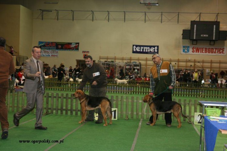 Góry Orlickie 005.jpg