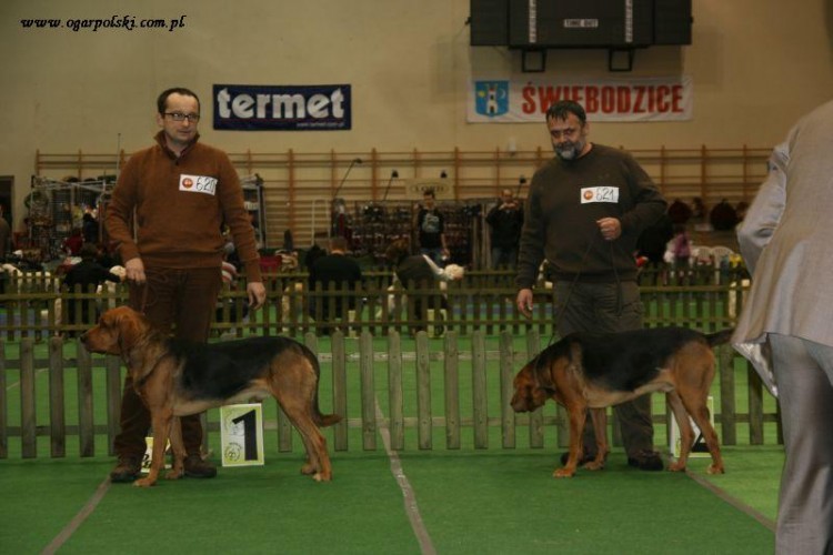 Góry Orlickie 019.jpg