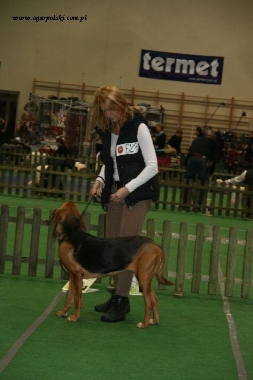 Góry Orlickie 020.jpg