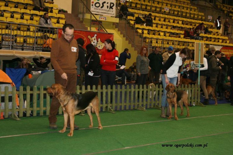 Góry Orlickie 029.jpg