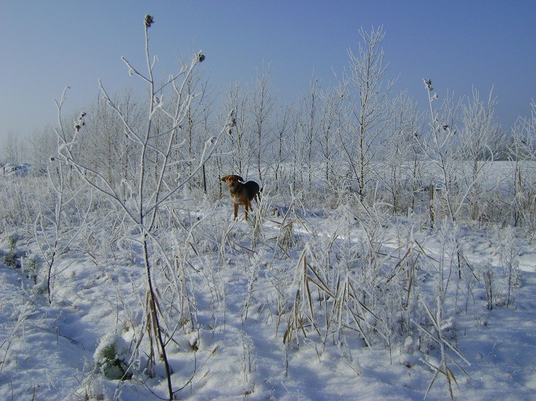 DSC01206.JPG