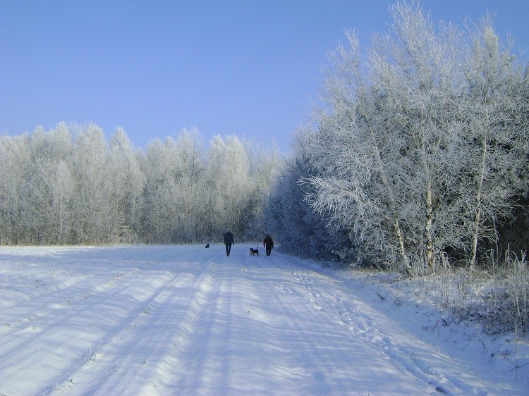 DSC01213.JPG