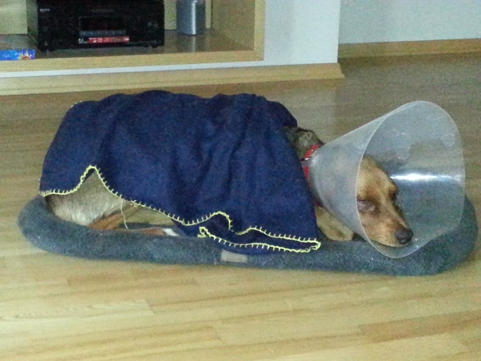 20121205_130356.jpg