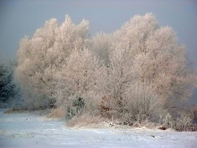 Kryształki szadzi