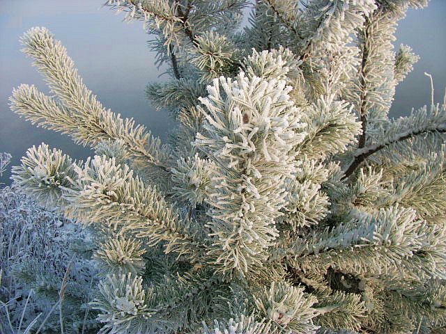 DSCF7727.JPG