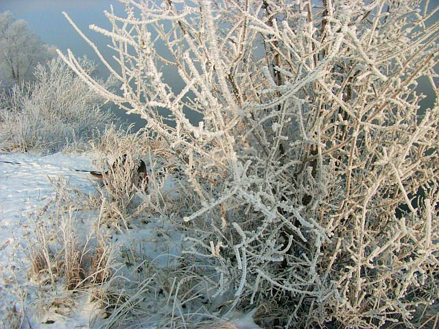 DSCF7728.JPG